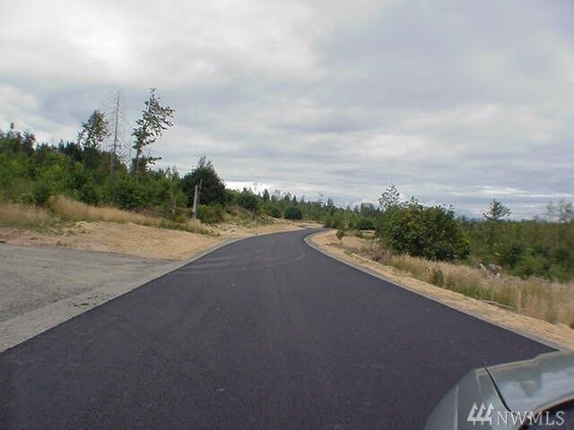 Property Photo:  0 Lot 3 Volcano Lane  WA 98532 