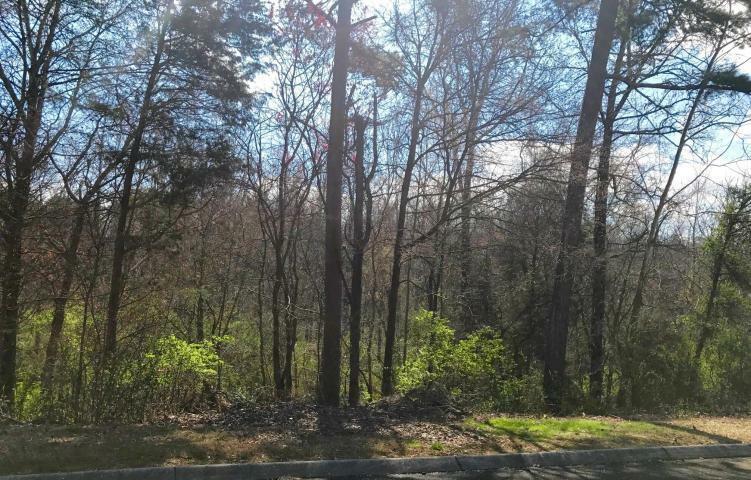 Property Photo:  0 Indian Ridge Rd  TN 37709 