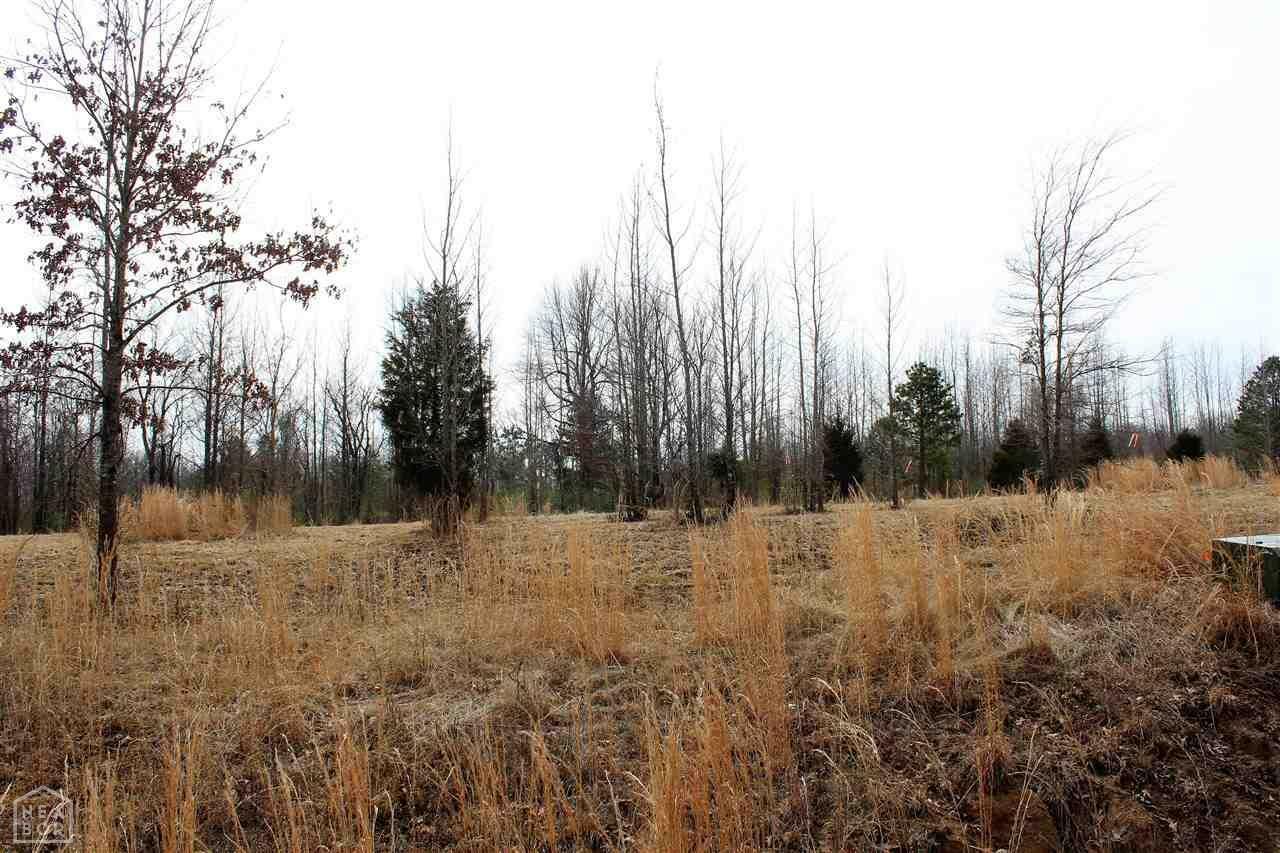 Property Photo:  Lot 10 Diamond Valley Estates Phase Ii  AR 72404 