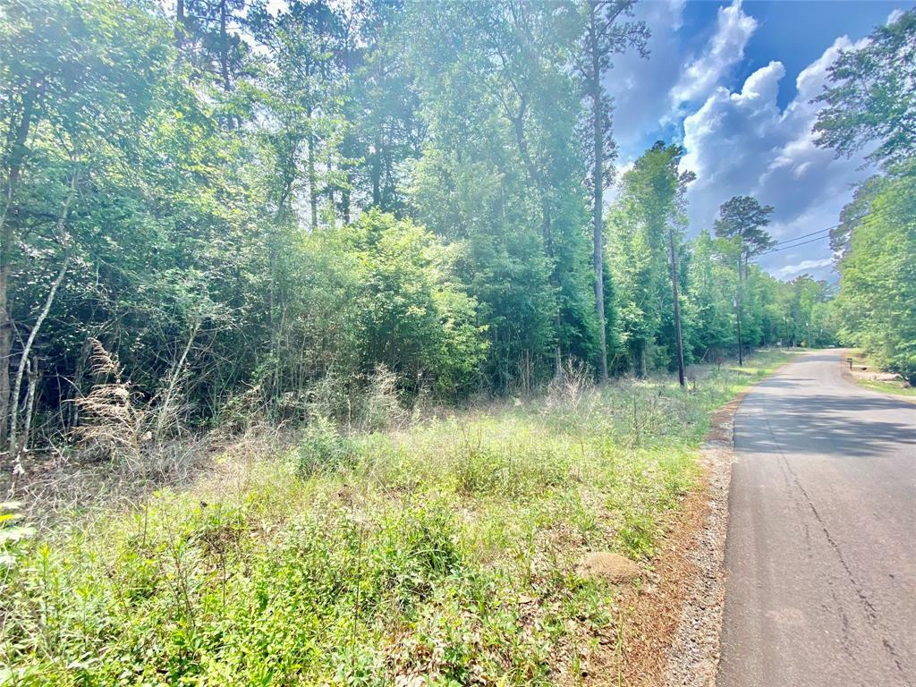 Property Photo:  Tbd Charmaine Drive  TX 75979 