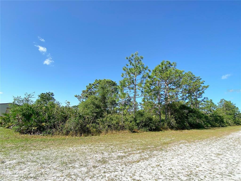 Property Photo:  205 El Dorado Drive  FL 33855 