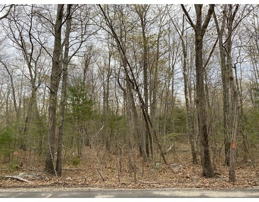 Property Photo: 376 Mountain St MA 02067