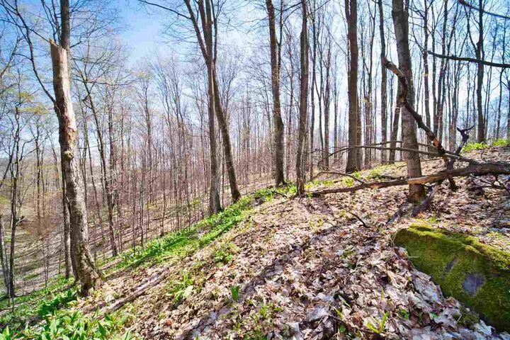 3487 Needles 22  Harbor Springs MI 49740 photo