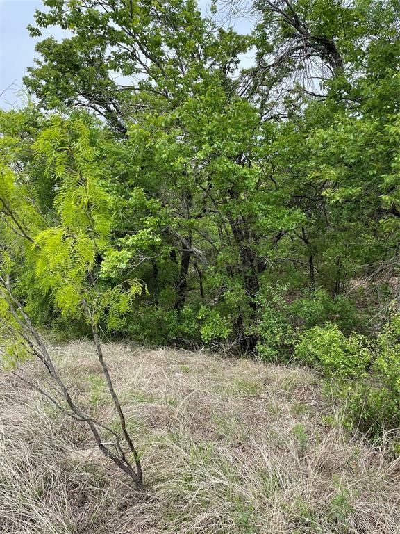 Property Photo:  Lot 103 Ash Court  TX 76426 