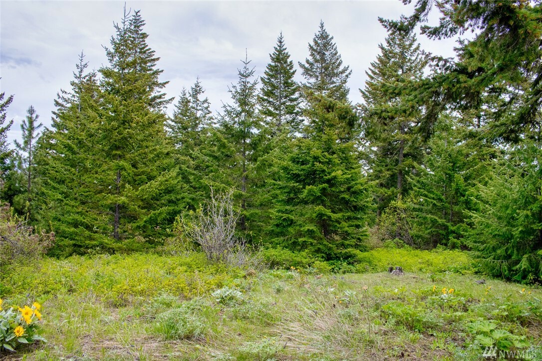 Property Photo:  Lot 1 Black Hawk Rd  WA 98922 