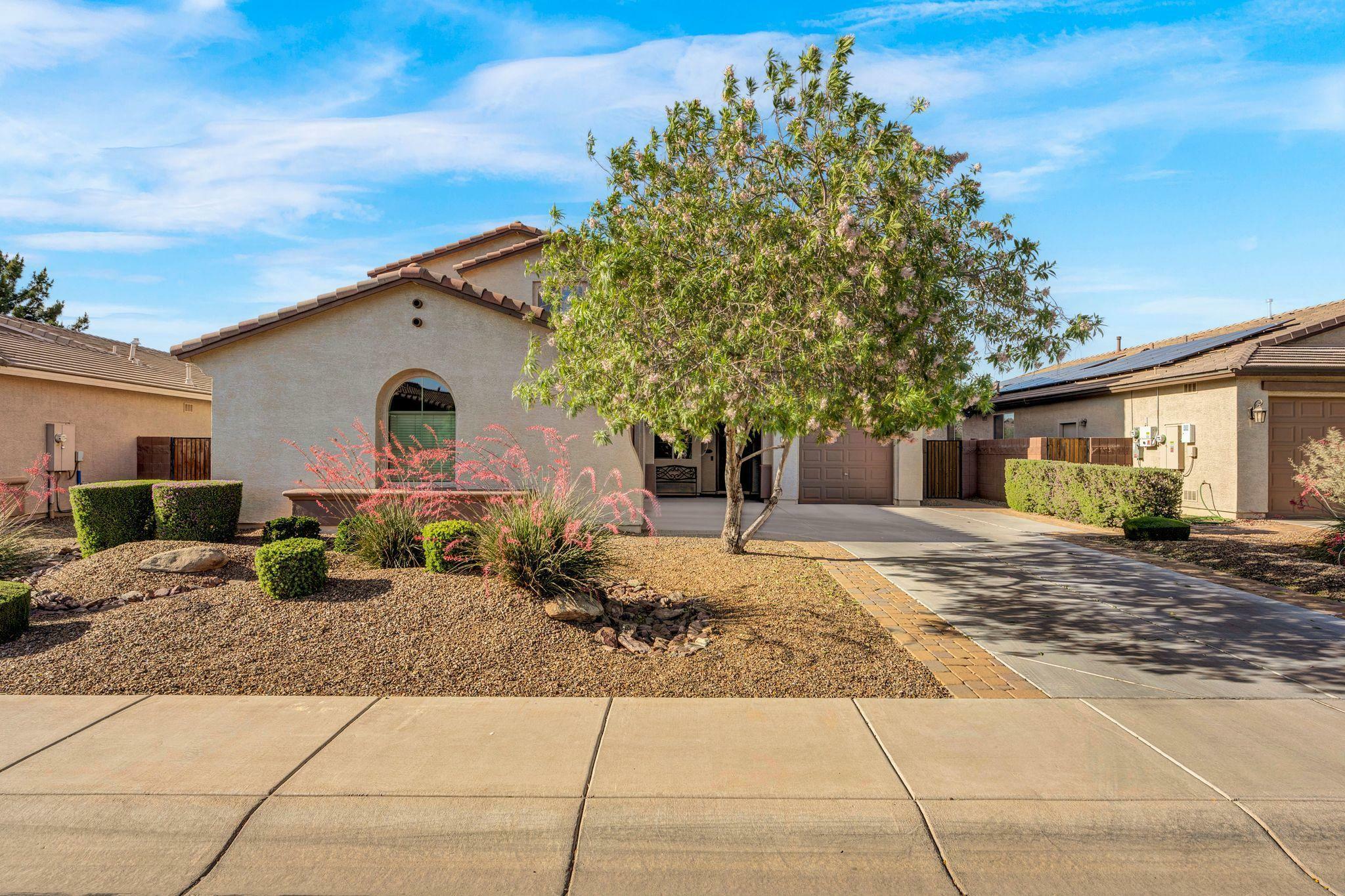 Property Photo:  232 W Leatherwood Avenue  AZ 85140 