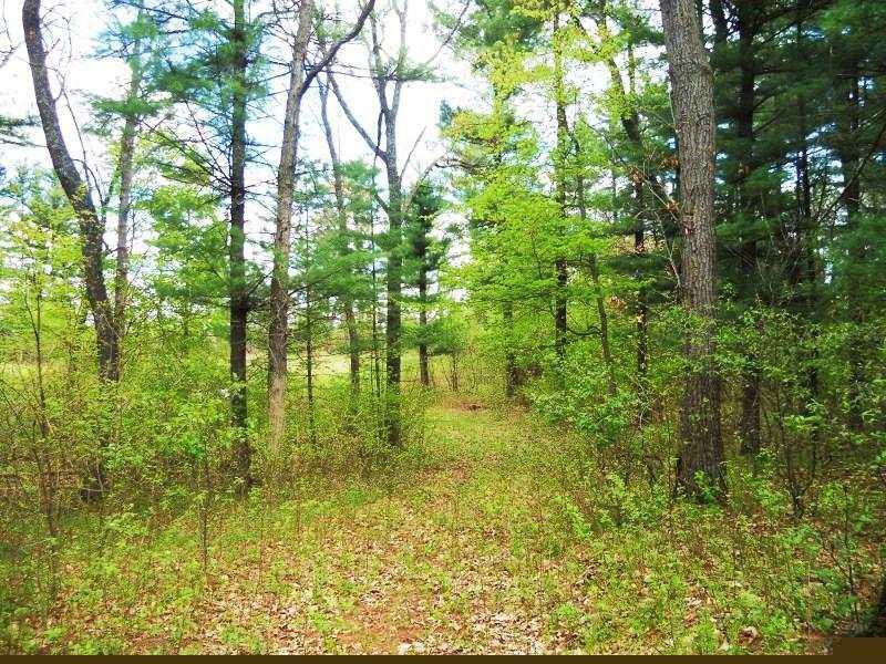 1364 County Road H  Wisconsin Dells WI 53965 photo