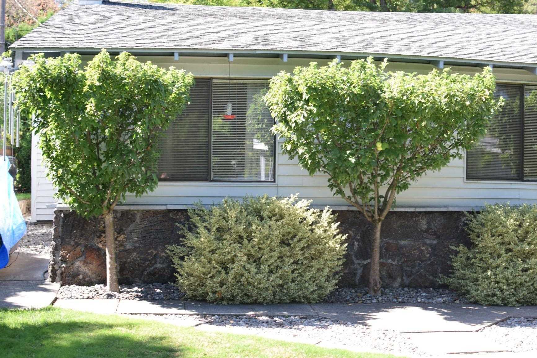 Property Photo:  1414 S Colby Ave  WA 99019-9715 