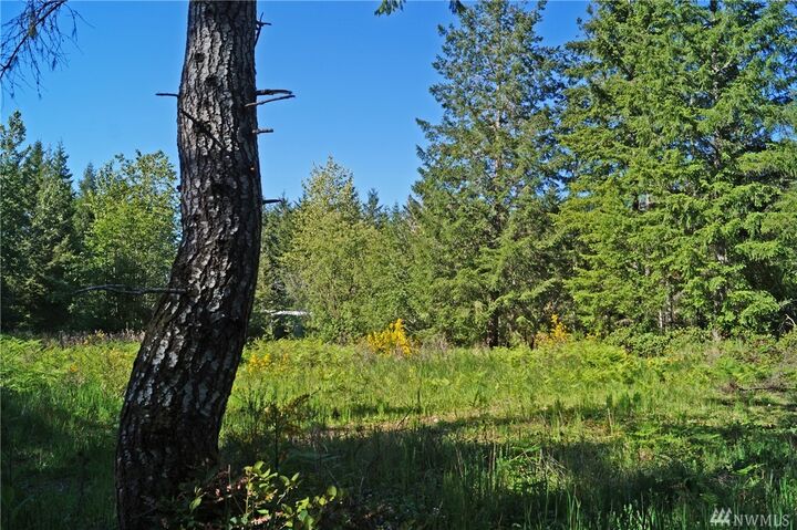 Property Photo: 10 E Jobes Ct WA 98546