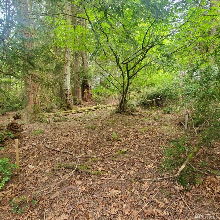 Property Photo:  568 E Pointes Dr W  WA 98584 