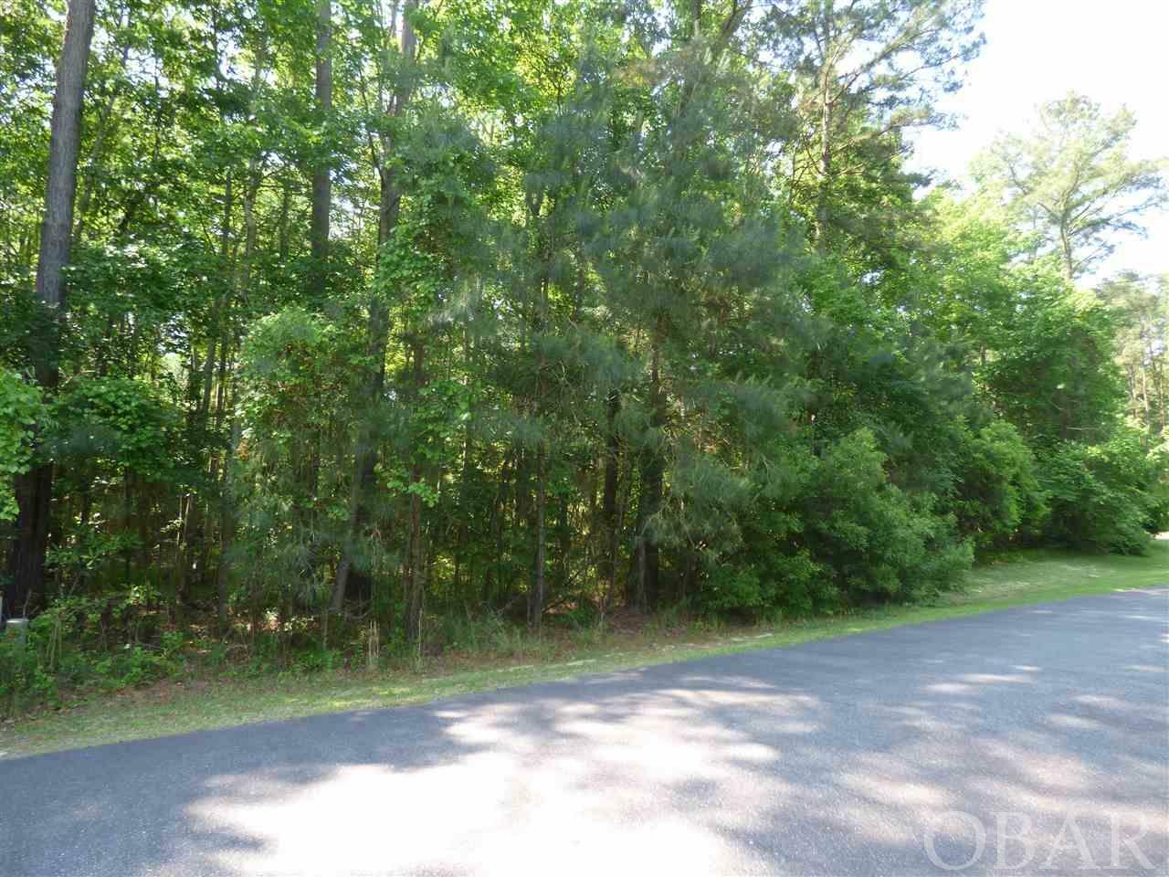 Property Photo:  100 Dexter Court Lot 26  NC 27966 