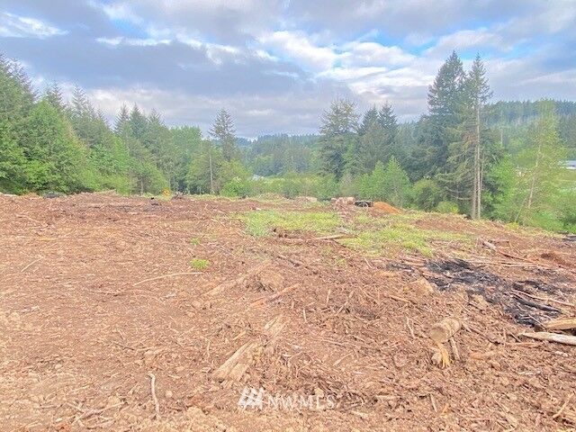 Property Photo: 0 B Ramsaur Road WA 98531