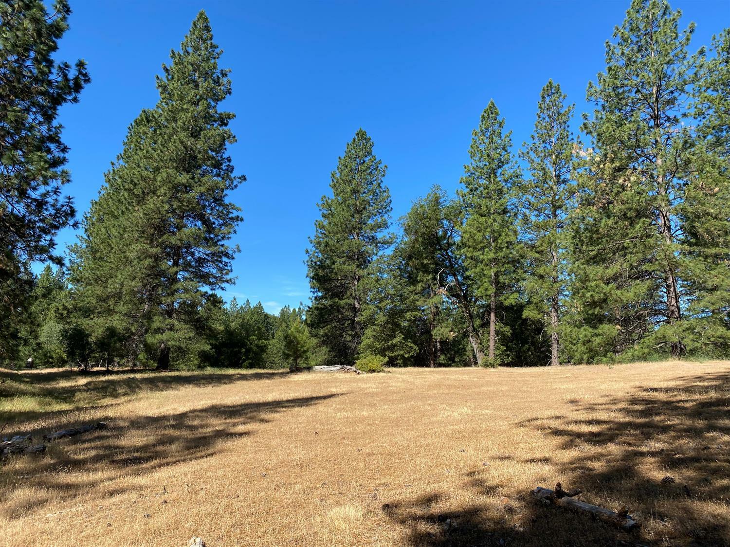 Property Photo:  0 Swiss Ranch Road  CA 95246 