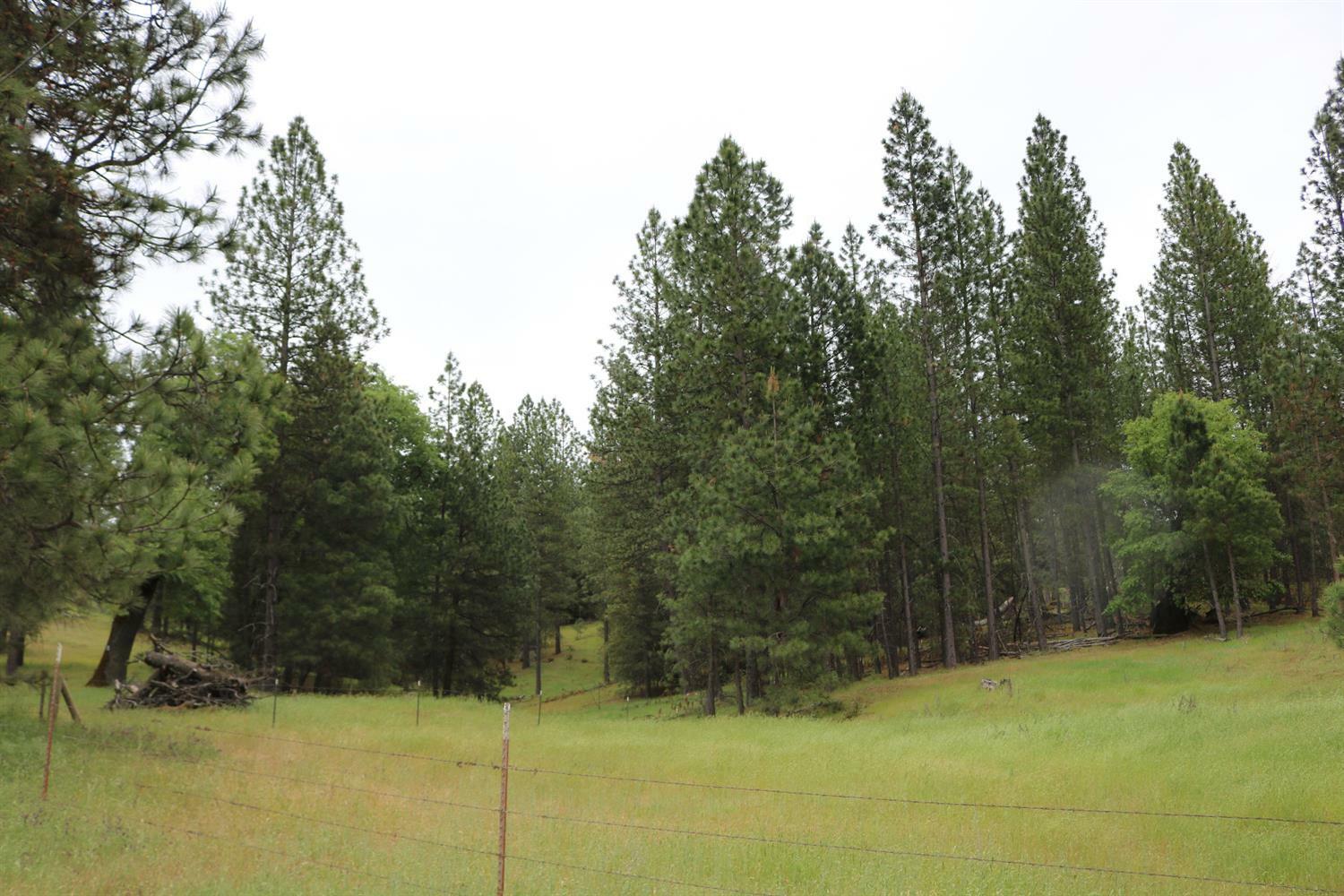 Property Photo:  8954 Swiss Ranch Road  CA 95246 