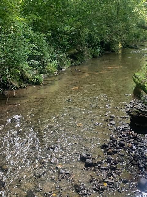 Property Photo:  0 Hamburg SW Road  OH 43130 