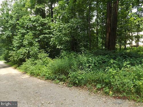 Property Photo:  0 Apache Trail  VA 22623 