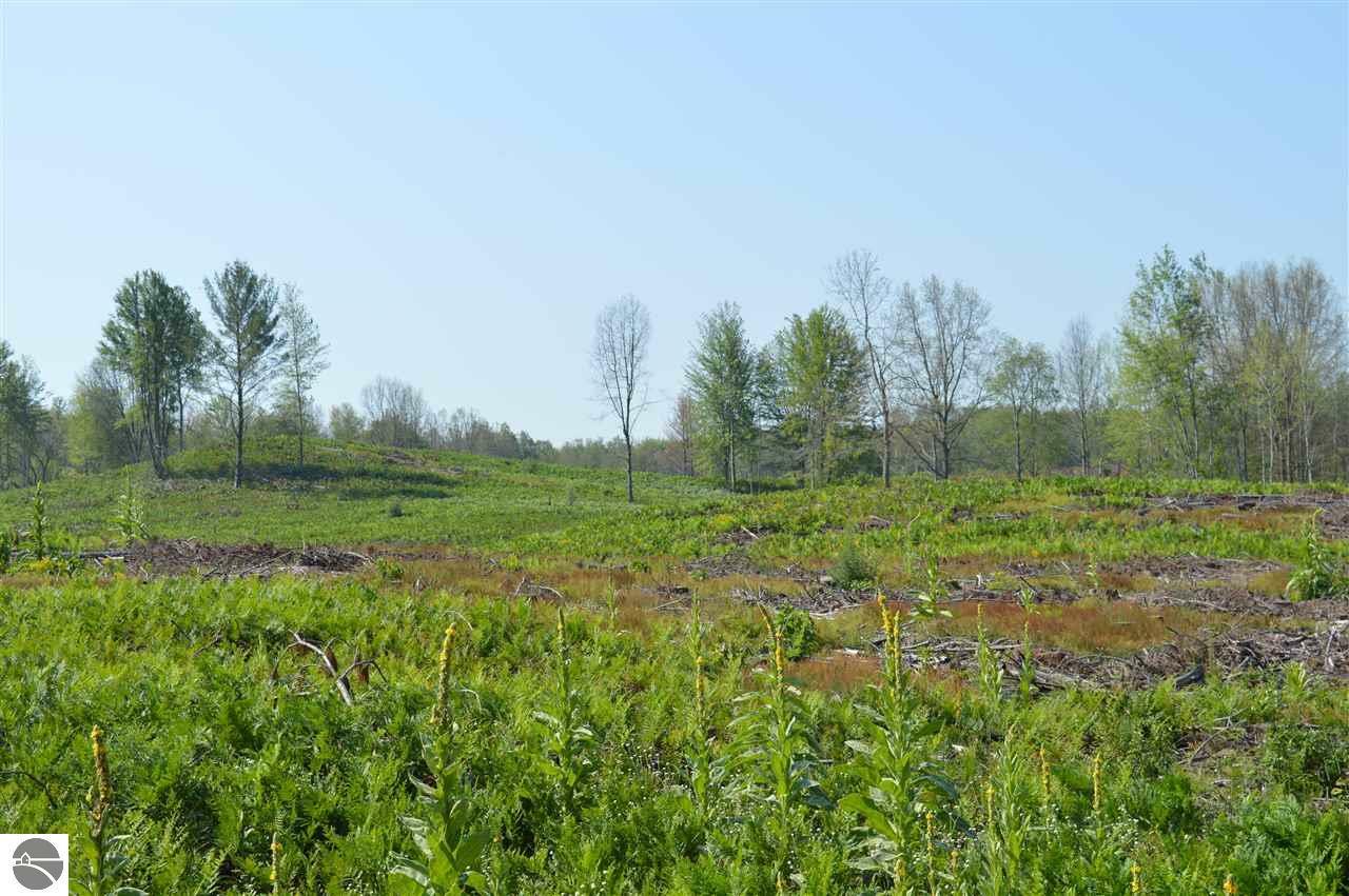 B E 16 Mile Road  Reed City MI 49677 photo