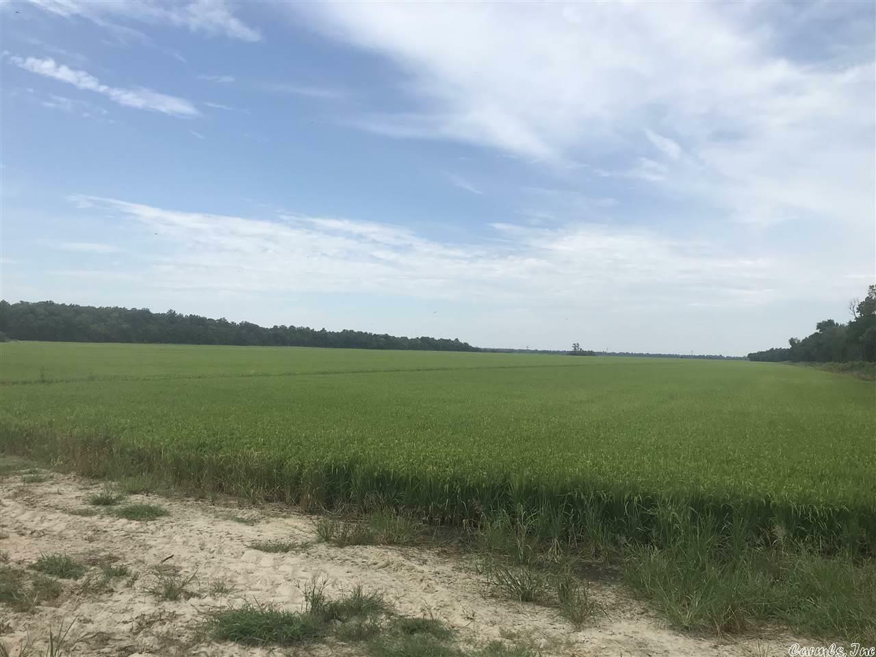 Property Photo: 380 Acres Tract Pitts Road AR 72421
