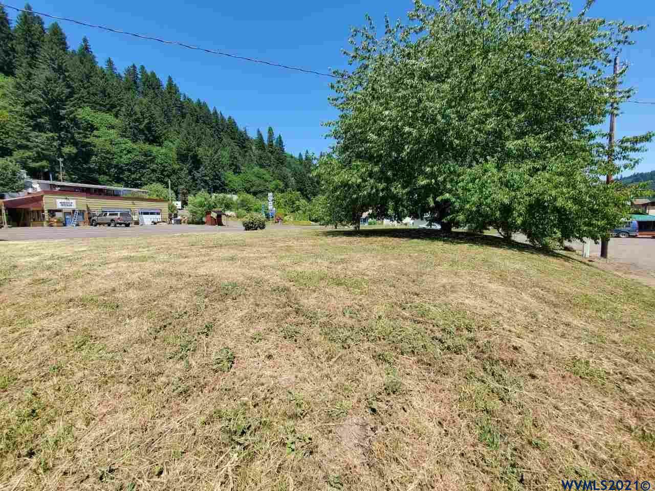 Property Photo:  Main (Lot#1 &Amp 2) St  OR 97324 
