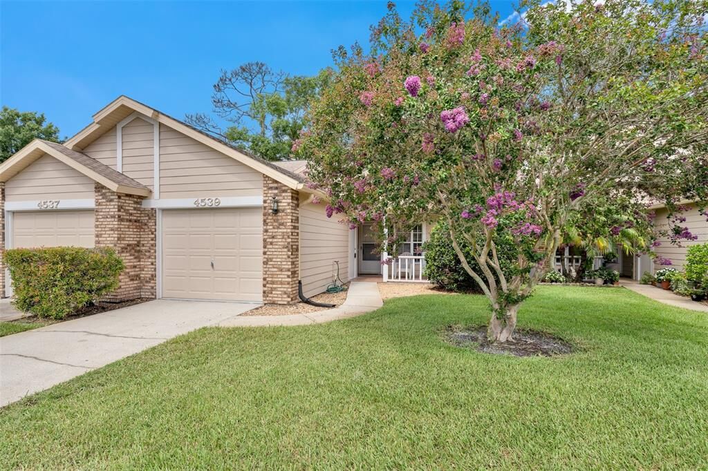 Property Photo: 4539 Glen Hollow FL 34653