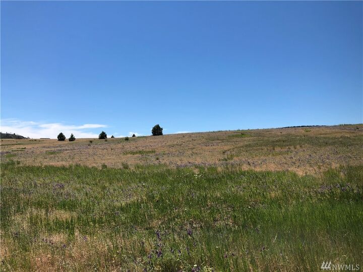 Property Photo: Xxx Mountain Creek Dr WA 98922