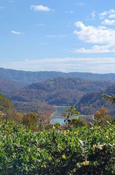 Long Beard Norris Acres Lane  Tazewell TN 37879 photo