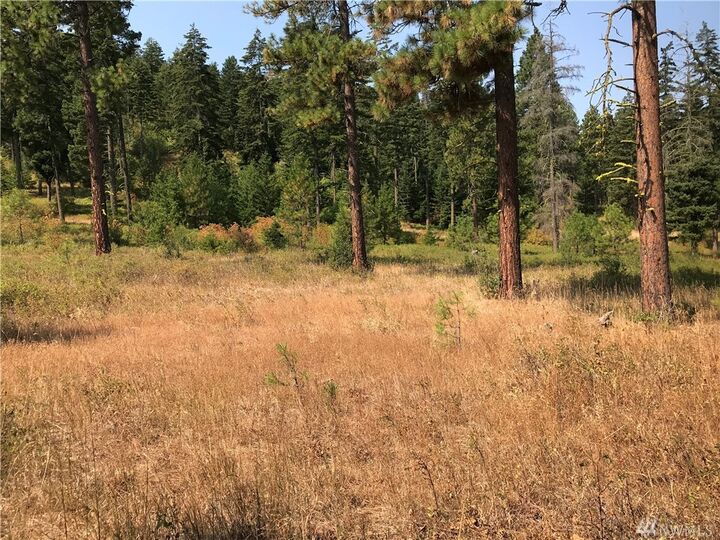Property Photo: Lot F Masterson Rd WA 98922