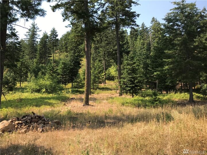 Lot G Masterson Rd  Cle Elum WA 98922 photo