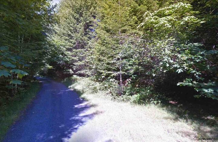 39840  Mad Creek Rd  Gates OR 97346 photo