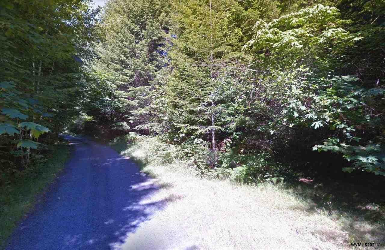 Property Photo: 39840 Mad Creek Rd OR 97346