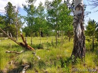 Property Photo:  2973 Singletree Road  CO 80449 