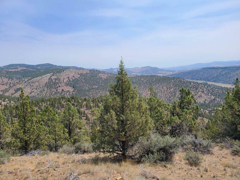 Property Photo:  1200 SE Jack Rabbit Trail  OR 97754 