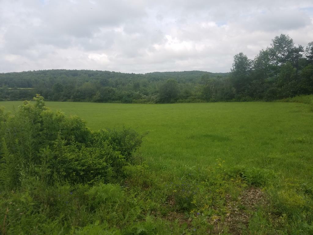 Property Photo:  000 County Route 127  NY 14898 