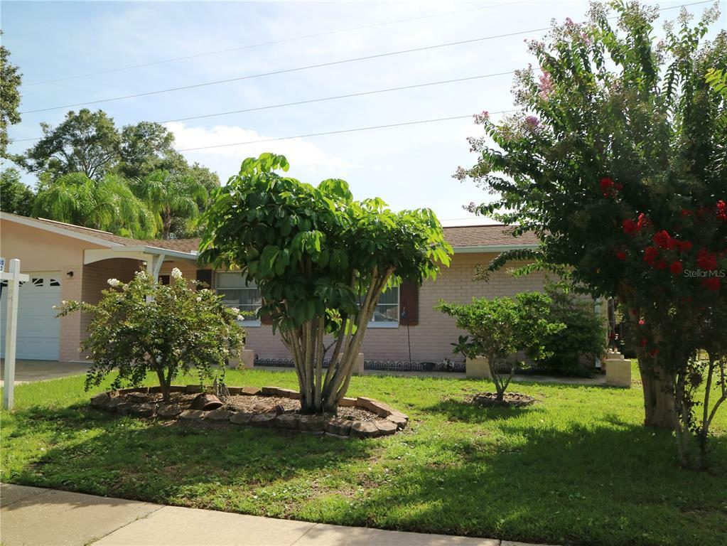 Property Photo:  1863 Albright Drive  FL 33765 