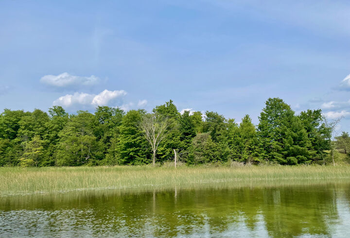 Property Photo:  803 Guenther Ridge  MI 49735 