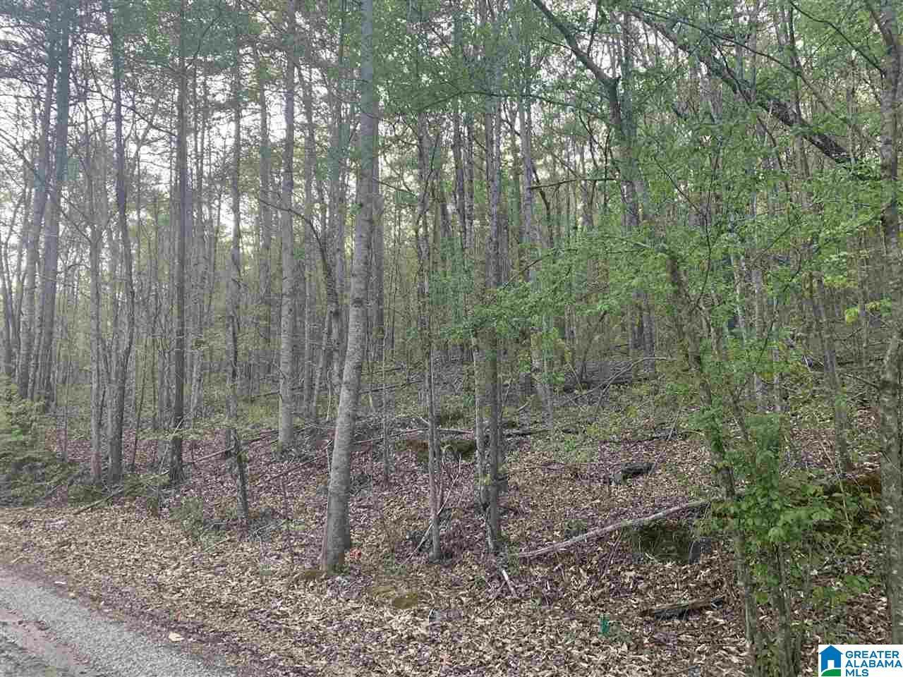 Property Photo:  0 John Owens Road 1 Acre  AL 35173 