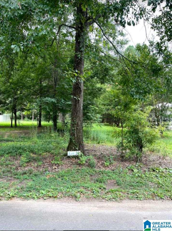 Lot 22 Blue Eye Road 22  Talladega AL 35096 photo