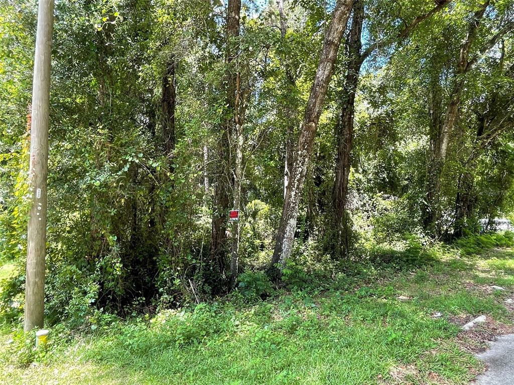 Property Photo:  3474 S Dalton Terrace  FL 34452 