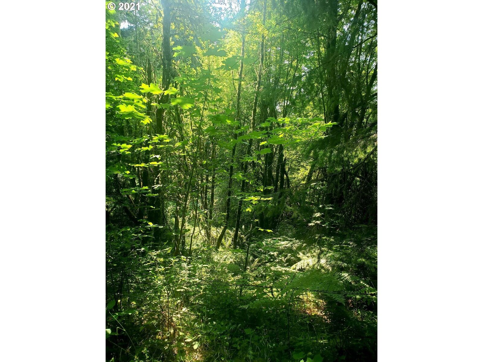 Property Photo: Stewart Rd 17&Amp18 WA 98648