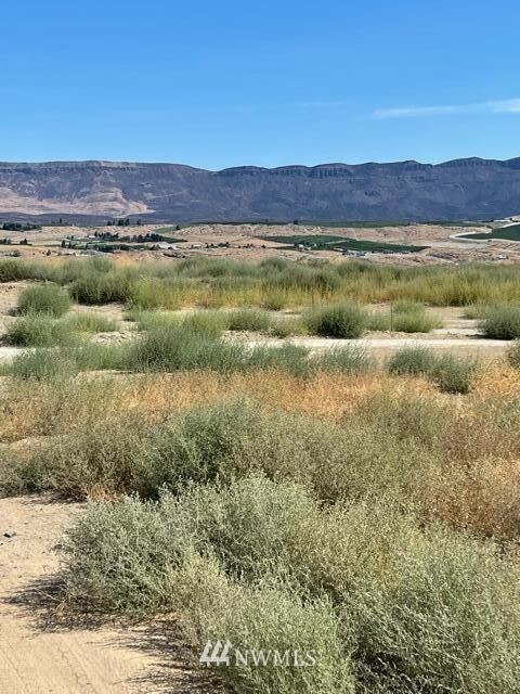 Property Photo: 19 Lot 19 Temp Rd A WA 98828