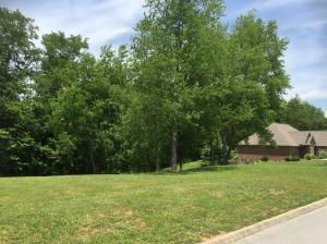 Property Photo:  106 Bellereve Drive Lt #33  KY 42501 