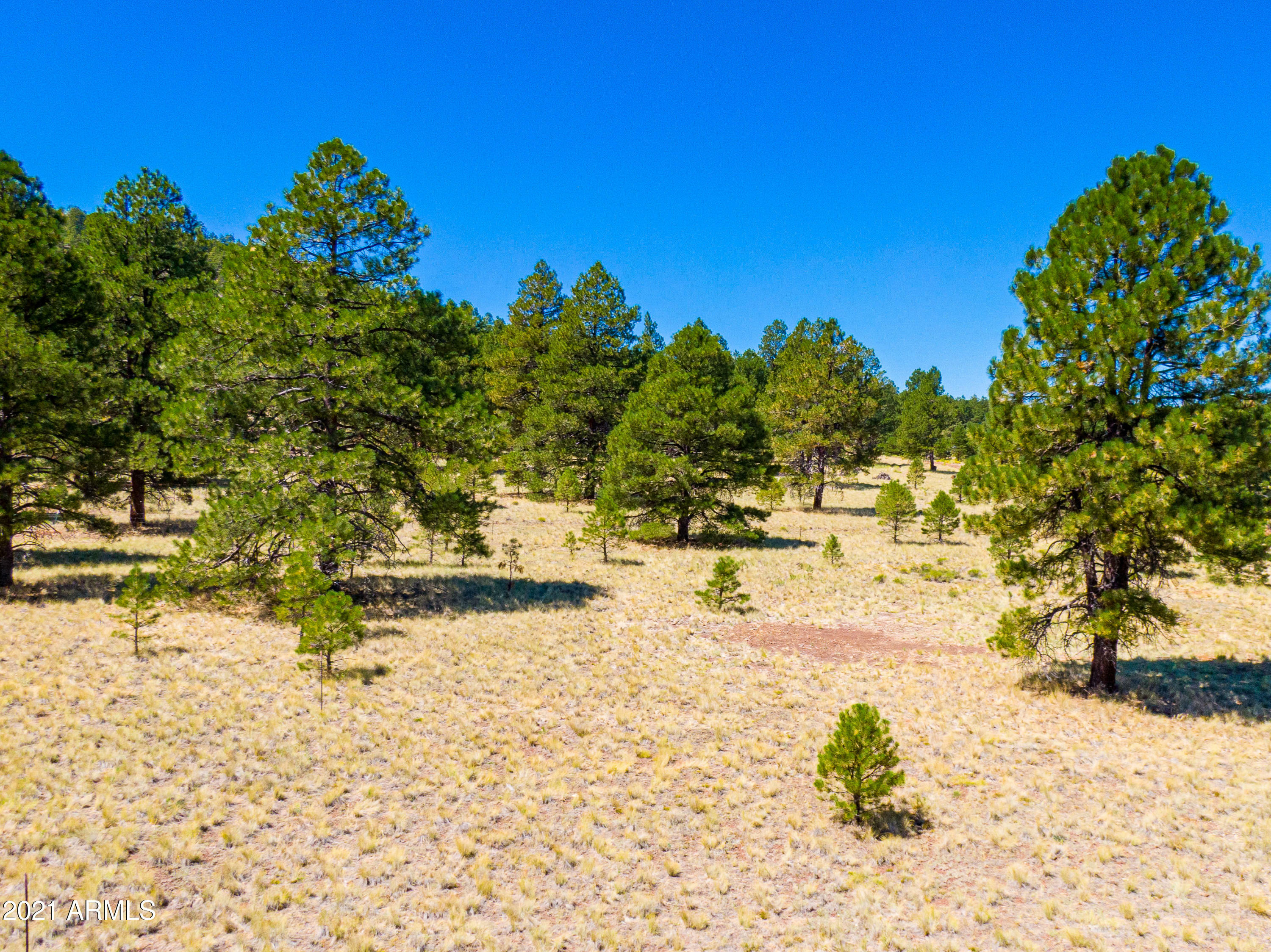 Property Photo:  970 S Appaloosa Trail  AZ 86046 