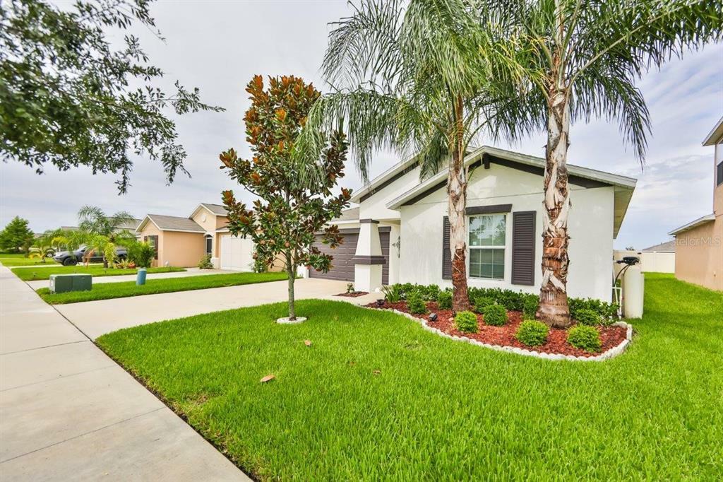 Property Photo:  1505 Broad Winged Hawk Drive  FL 33570 