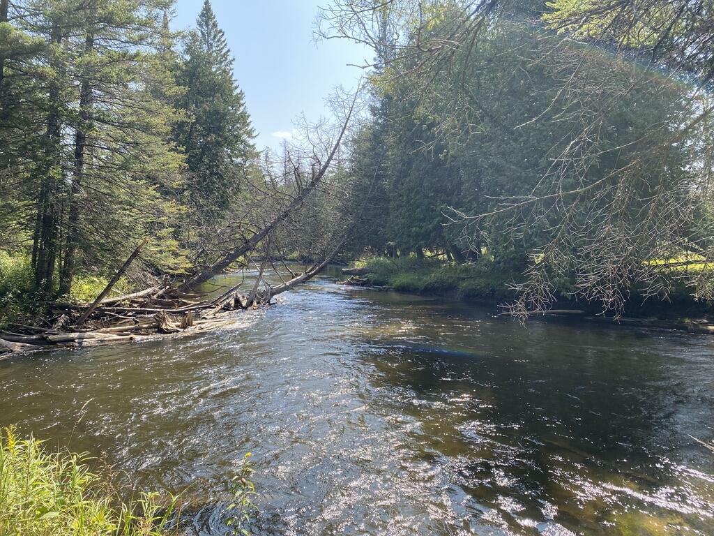 Property Photo: 5775 Dailey Road MI 49749