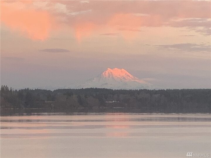 Property Photo:  2143 66th Ave NW  WA 98502 