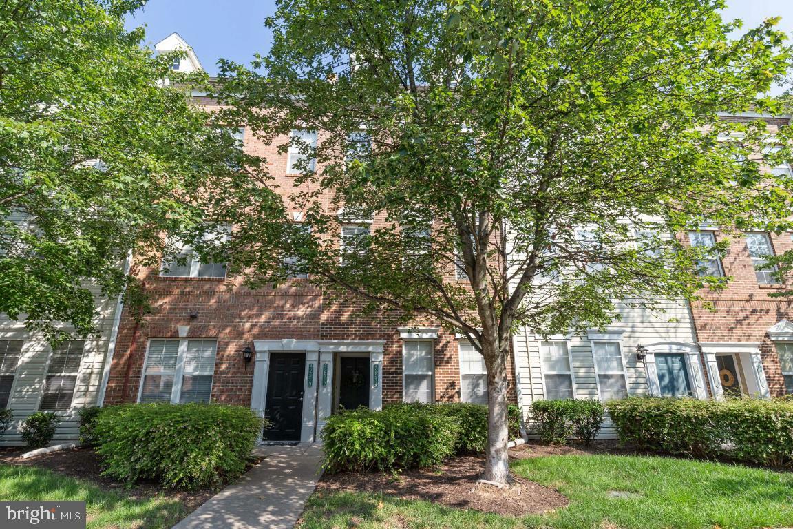 Property Photo:  42512 Hollyhock Terrace  VA 20148 