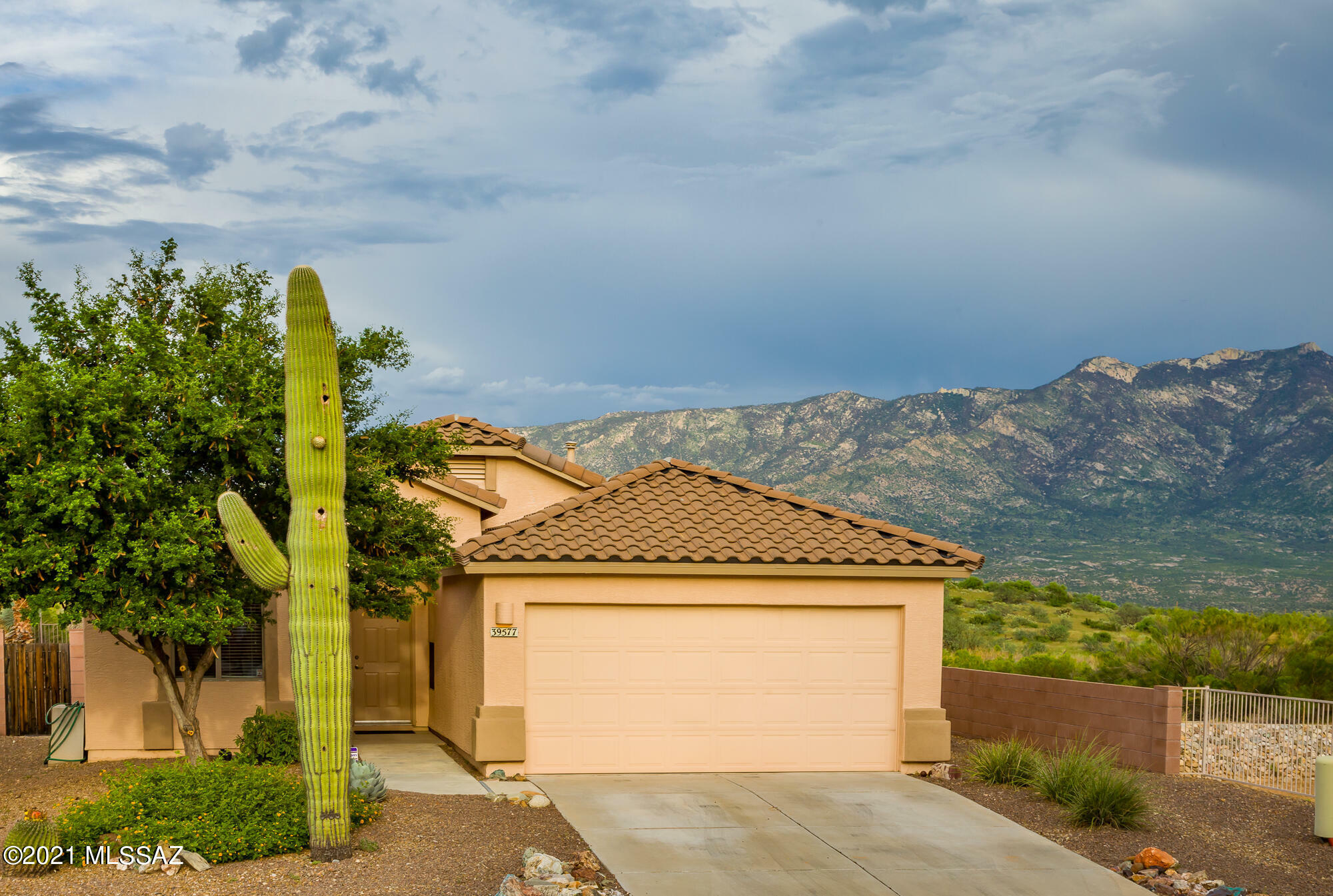 Property Photo:  39577 S Diamond Bay Drive  AZ 85739 