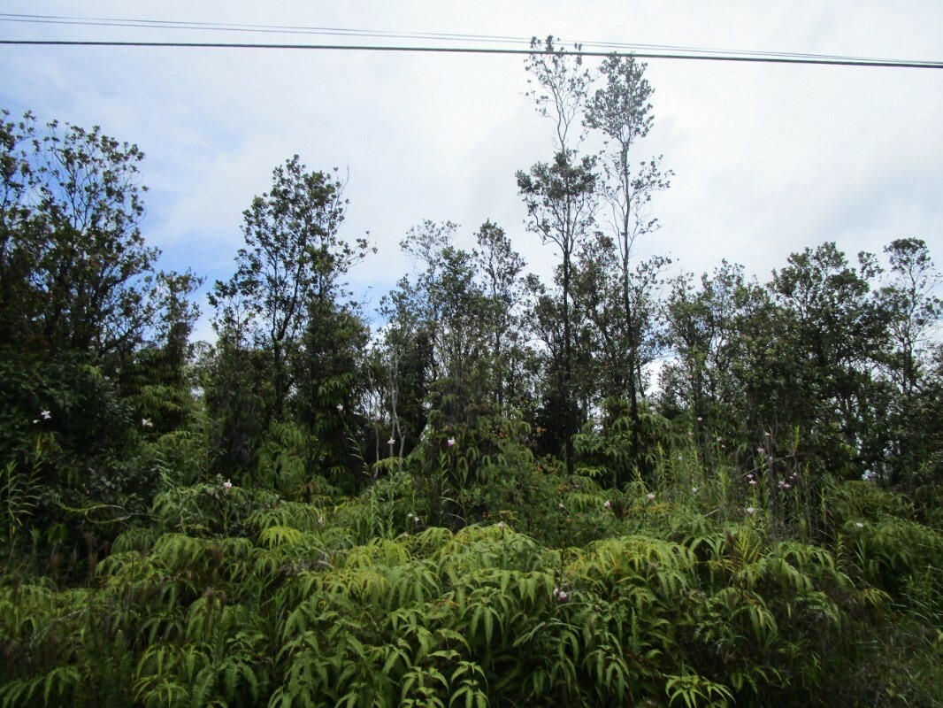 Property Photo:  Omeka Rd  HI 96785 