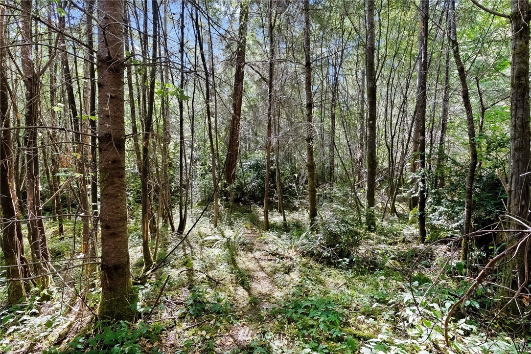 Property Photo:  0  31st Street NW  WA 98335 