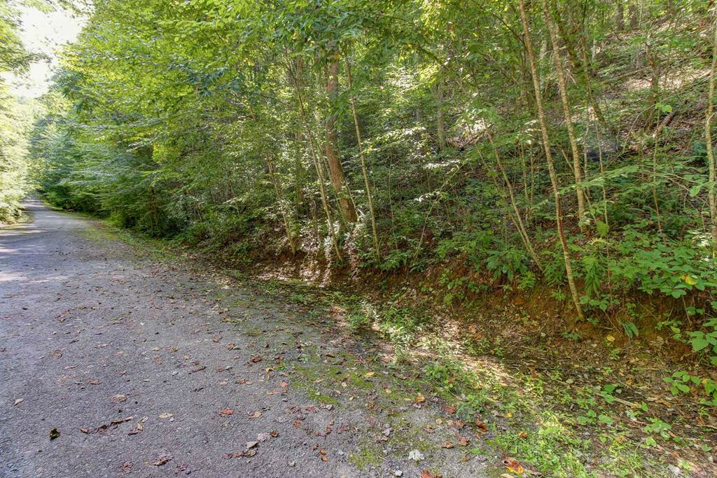 Property Photo:  Lot 26 Riversong Way  TN 37738 